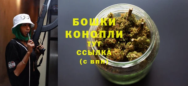 индика Лагань