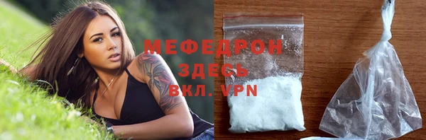 индика Лагань