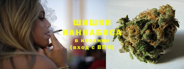 индика Лагань