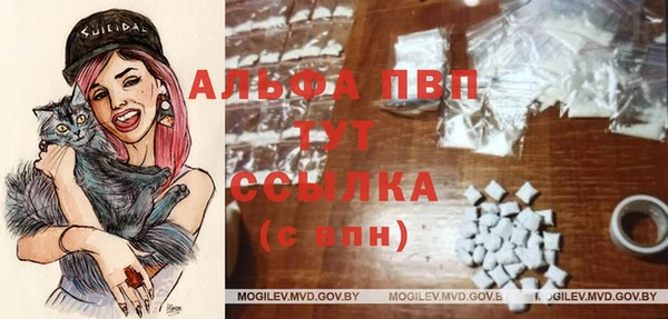 индика Лагань