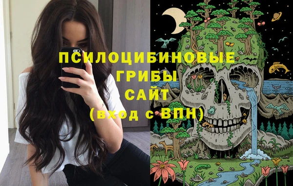 индика Лагань