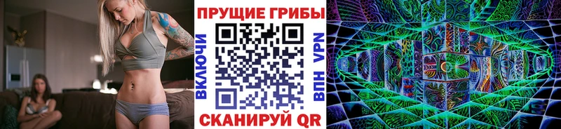 ссылка на мегу tor  Чайковский  Галлюциногенные грибы GOLDEN TEACHER  купить наркоту 