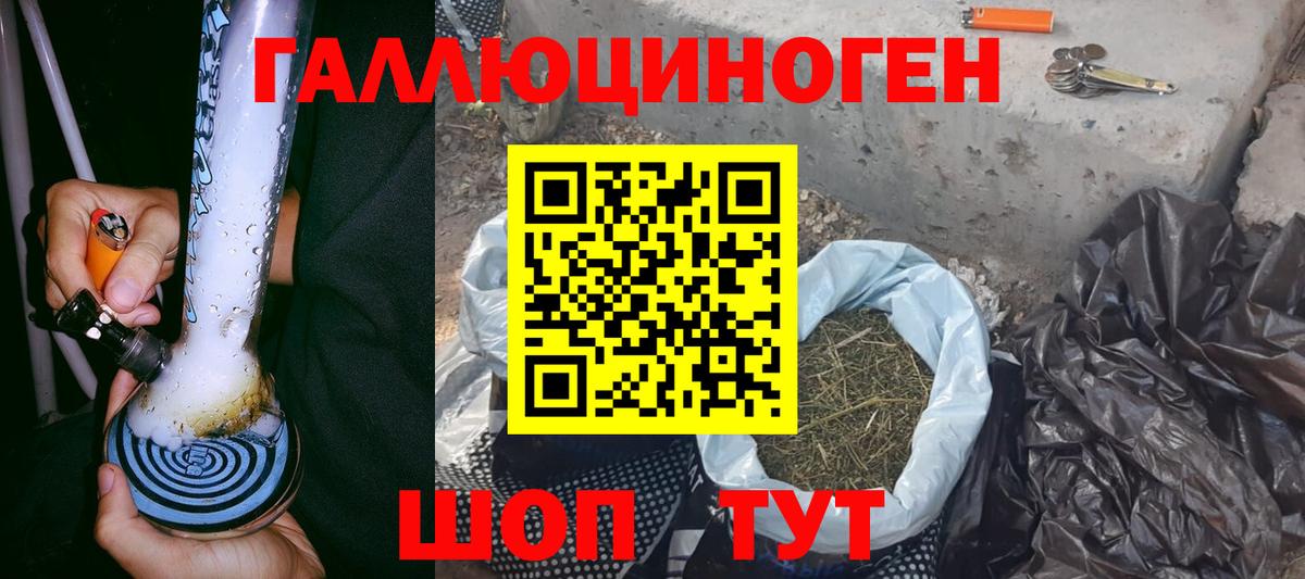 Галлюциногенные грибы мицелий Чайковский