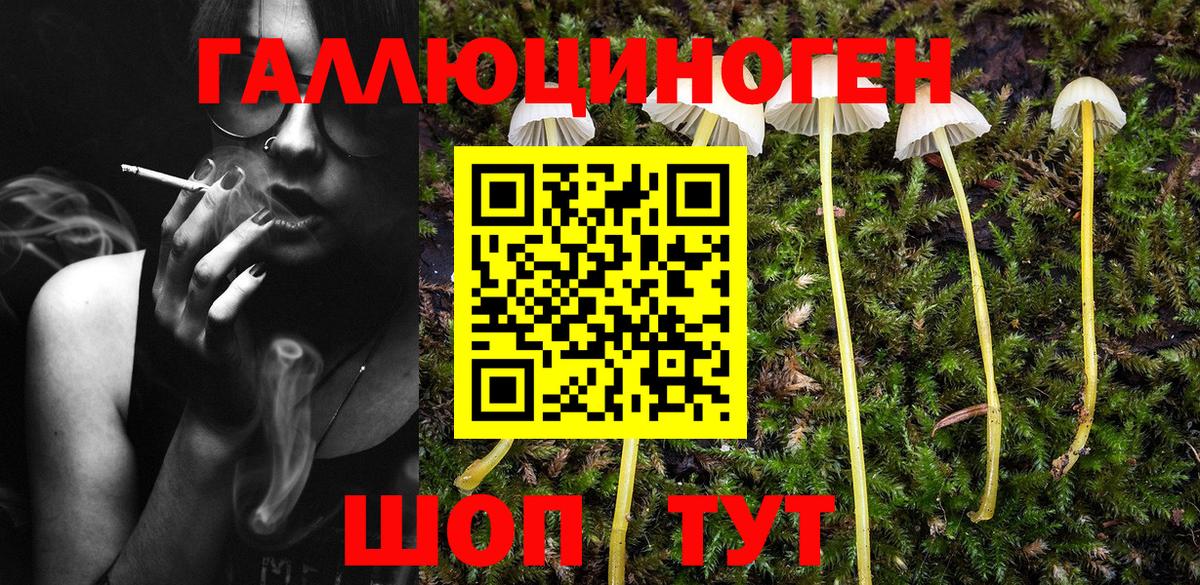 Псилоцибиновые грибы ЛСД  Чайковский 