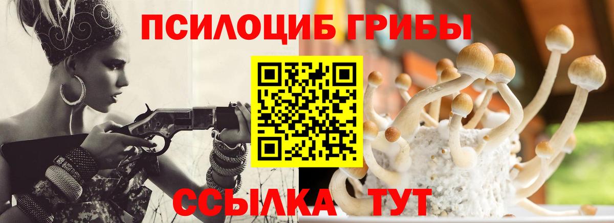 Галлюциногенные грибы Magic Shrooms Чайковский