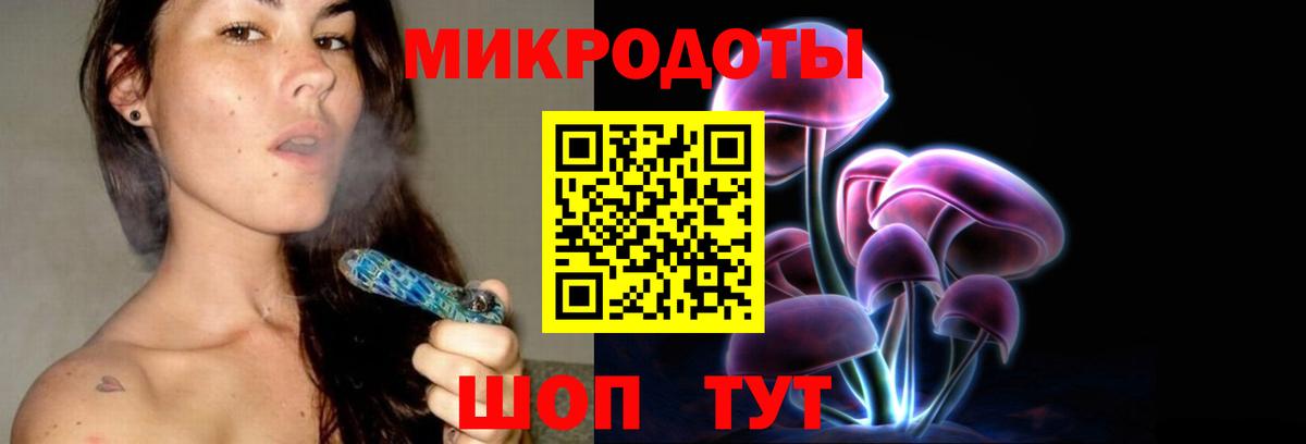 что такое   Вход с VPN  Чайковский  Псилоцибиновые грибы Cubensis 