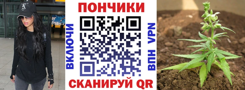 Бошки Шишки MAZAR  Чайковский 